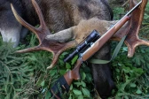 Best Elk Hunting Rifles of 2025
