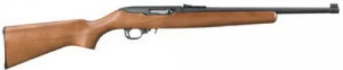 Ruger 10/22 Compact 1168