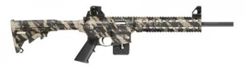 Smith & Wesson M&P 15-22 811060