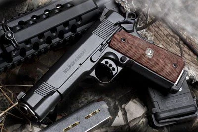 Wilson Combat CQB Elite CQBEFS45