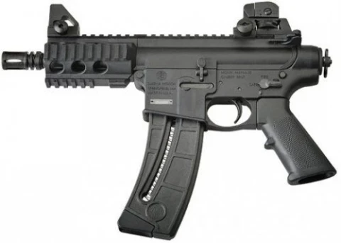 Smith & Wesson M&P 15-22 813000