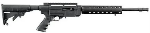 Ruger SR 10/22 1226