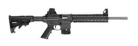 Smith & Wesson M&P 15-22 811031