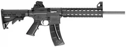 Smith & Wesson M&P 15-22 811030