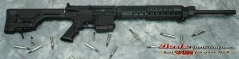 ArmaLite AR-10 10SBF