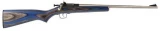 Crickett 22 Long Rifle Single Shot W/stainless Barrel & Blue