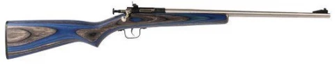 Crickett 22 Long Rifle Single Shot W/stainless Barrel & Blue