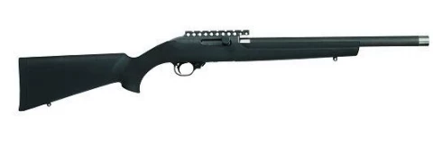 Magnum Research Magnum Lite MLR22WMH