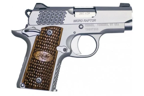 Kimber Micro 380 Raptor Stainless