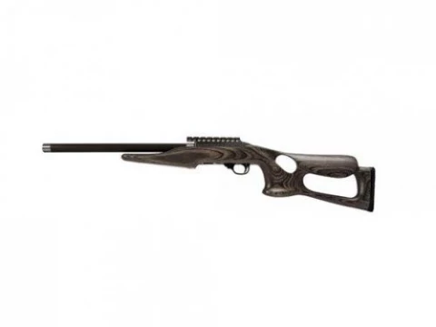 Magnum Research Magnum Lite MLR22BP