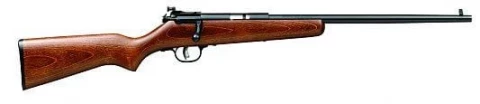 Savage Arms Rascal 13700