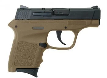 Smith & Wesson M&P Bodyguard 380 10167