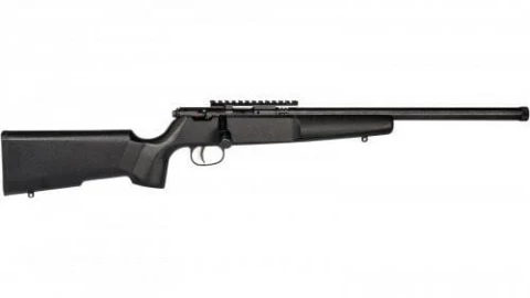 Savage Arms Rascal Target