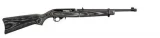 Ruger 10/22 Takedown 1174