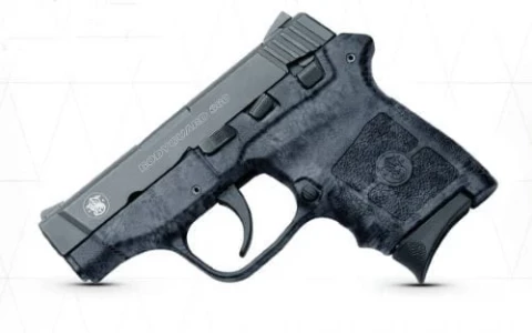 Smith & Wesson M&P Bodyguard 380 10184