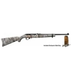 Ruger 10/22 Takedown 11153