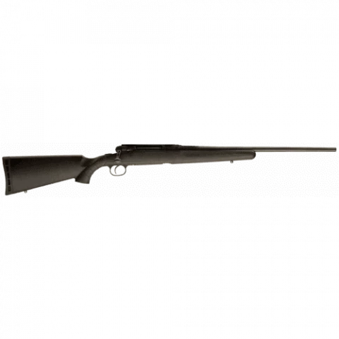 Savage Arms Axis 19317