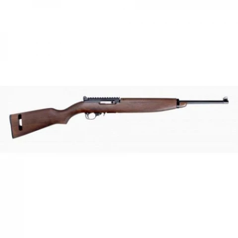 Ruger 10/22 Carbine 21102