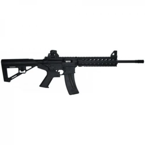 Smith & Wesson M&P 15-22 100020100