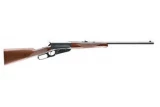 Winchester Model 1895 534070154