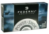 Federal 24385LFA Power Shok 243 Winchester