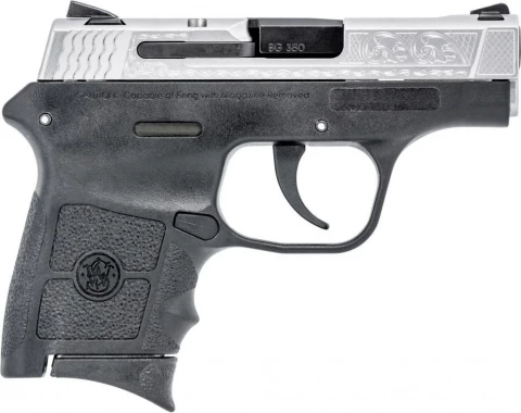 Smith & Wesson M&P Bodyguard 380 10110