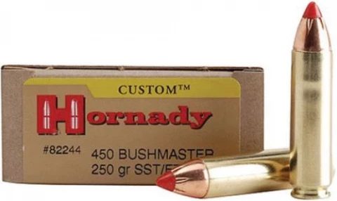 Hornady 450 Bushmaster 250 Grain Fxt