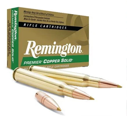 Remington 300 Winchester Mag 180 Grain Copper Solid Tipped