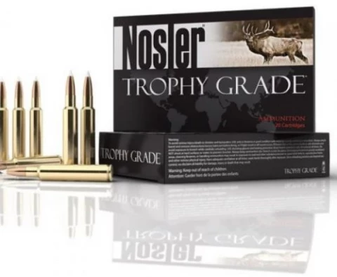 Nosler 308 Winchester 150 Grain Accubond