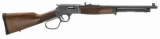 Henry Big Boy Steel Carbine H012R