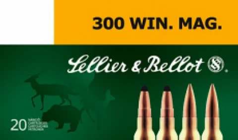 Sellier & Bellot Sb300b Rifle Hunting 300 Win Mag 180 Gr Spce (soft Point Cut-t