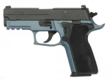 SIG Sauer P229 E29R9BTF