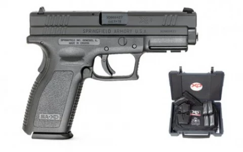 Springfield Armory XD XD9101IGU