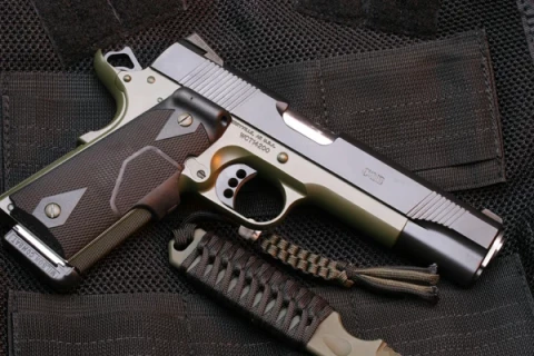 Wilson Combat CQB CQBFS45BGA