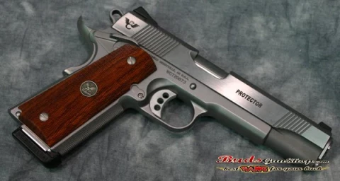 Wilson Combat Protector