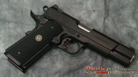 Wilson Combat CQB Elite WCCQBEASO