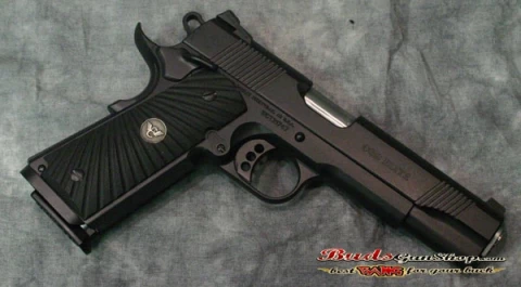 Wilson Combat CQB Elite WCCQBEABP