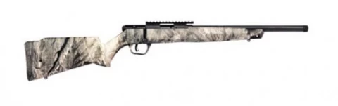 Savage Arms B17 FV-SR Overwatch