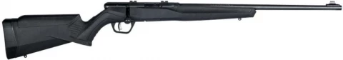 Savage Arms B22 F