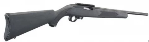 Ruger 10/22 Carbine 31145