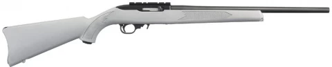 Ruger 10/22 Carbine 31139