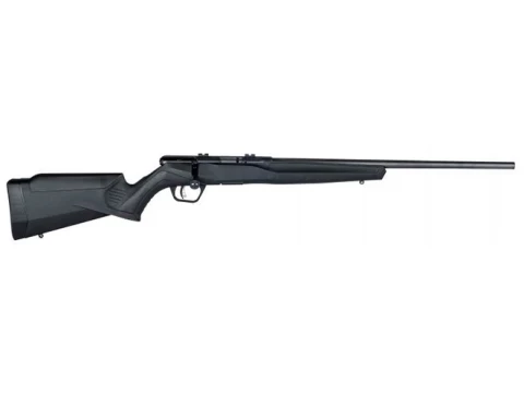 Savage Arms B22