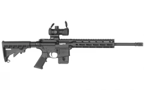 Smith & Wesson M&P15-22 12723