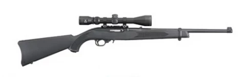 Ruger 10/22 Carbine 31143