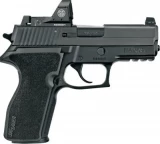 SIG Sauer P229 RX E29R9BSSRX