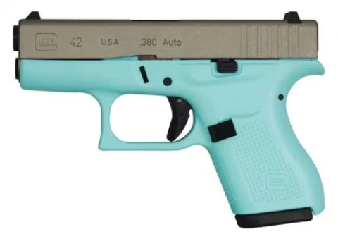 Glock 42 UI4250201EBSS