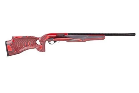 Ruger 10/22 Target 21157