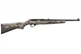 Ruger 10/22 Compact 1212