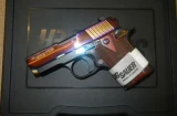 SIG Sauer P938 Rainbow