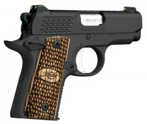 Kimber Micro 380 Raptor